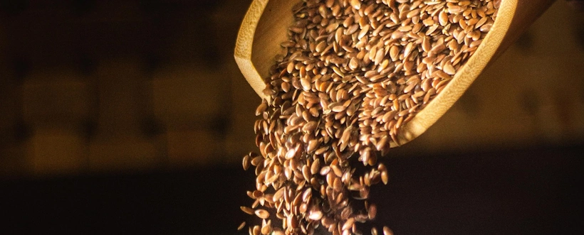 Auditoría de procesos de producción de semillas de calidad